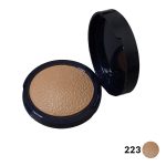 رژگونه هایلایتر پولمیک