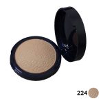 رژگونه هایلایتر پولمیک