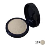 رژگونه هایلایتر پولمیک