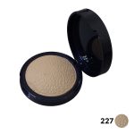 رژگونه هایلایتر پولمیک